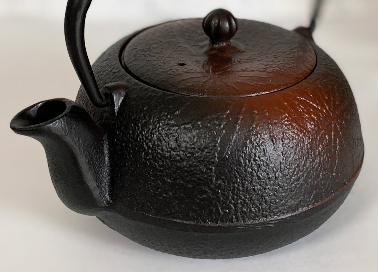 Kyusu Japanese Tea pot kettle Nanbu Cast Iron Autumn Leaves