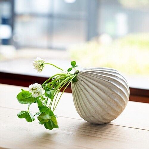 Shigaraki yaki ware Japanese Flower pot Vase White Codomono Roly