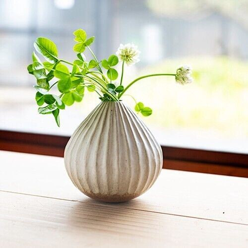 Shigaraki yaki ware Japanese Flower pot Vase White Codomono Roly