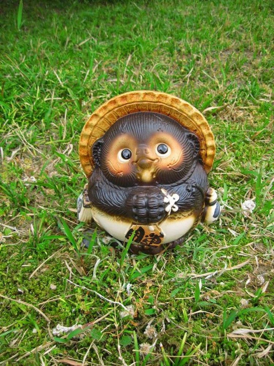 Onegai Tanuki Japanese Raccoon Dog Shigaraki yaki Happy from