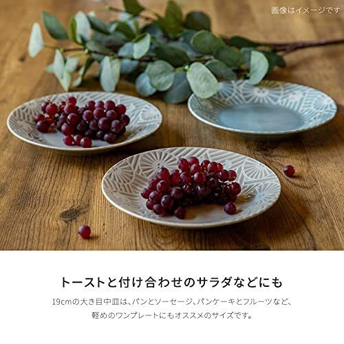 Mino ware KAFU dish Flower Bird Water repellentPalegray Lunch plate set of 2