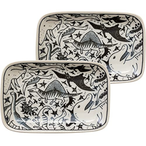 Mino ware pottery square plate set of 2Dinosaur Animal encyclopedia 6.49in