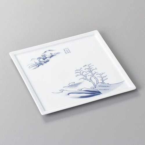 Mino ware Japanese Cuisine White Porcelain Landscape Design Square Plate