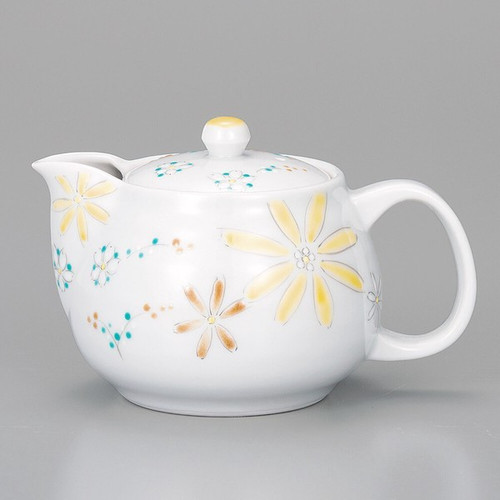 Kutani ware Japanese Tea pot Green tea Kyusu Iro-e Floral Red Japan Koyo kiln