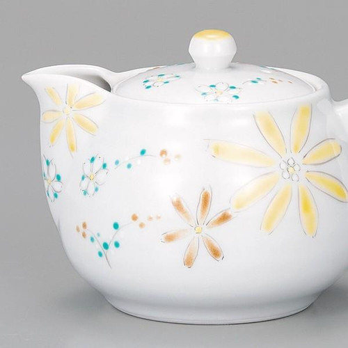 Kutani ware Japanese Tea pot Green tea Kyusu Iro-e Floral Red Japan Koyo kiln