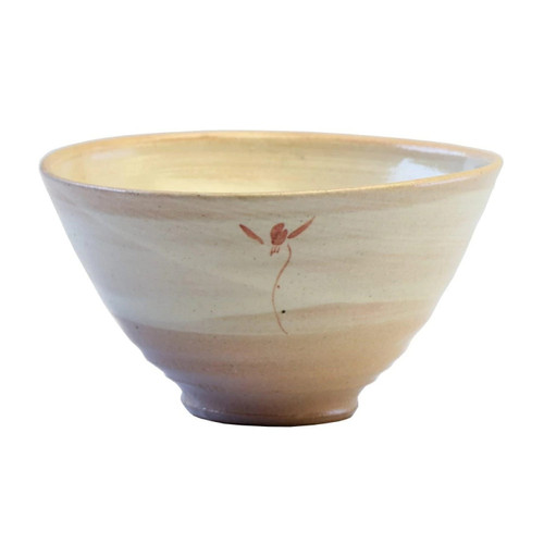 Shigaraki ware Japanese Rice bowl Gohan Chawan Floral pattern Red Japan