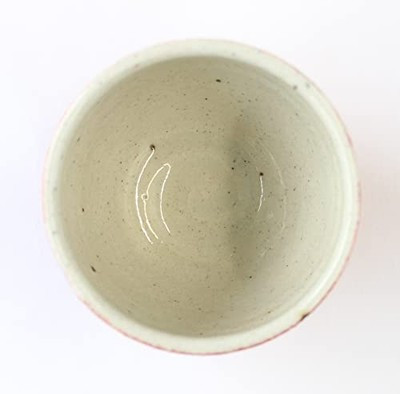 Yunomi Shigaraki yaki ware Japanese pottery Green tea cup Saiun Red Japan