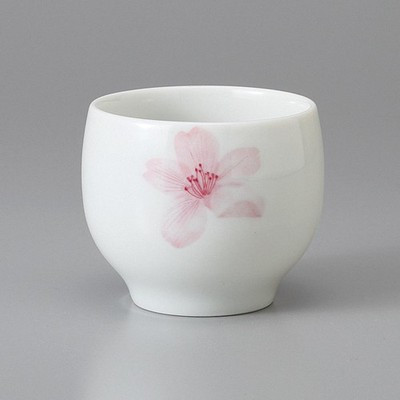 Mino Ware Sencha Yunomi Japanese Green Tea Cup Sakura Blossom Japan