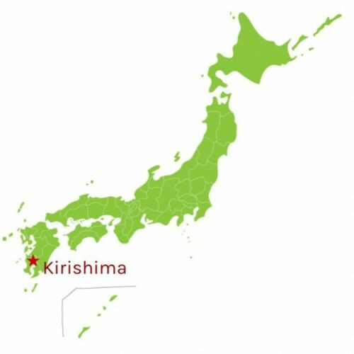 Sencha Kirishima cha 100% Organic Japanese Green Tea Umame Serect of soft sprout