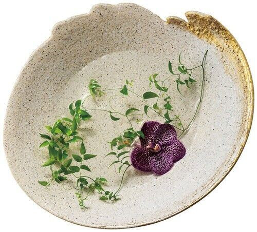 Shigaraki yaki ware Japanese Ikebana Suiban Vase Flower pot Moonlight Gold 41cm