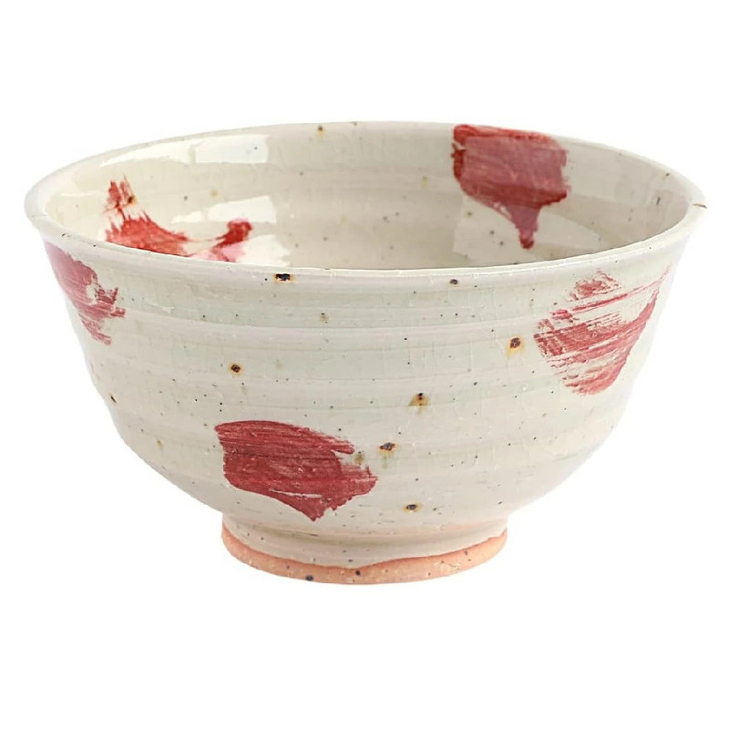 Shigaraki ware Japanese Rice bowl Gohan Chawan Red dot pattern Japan