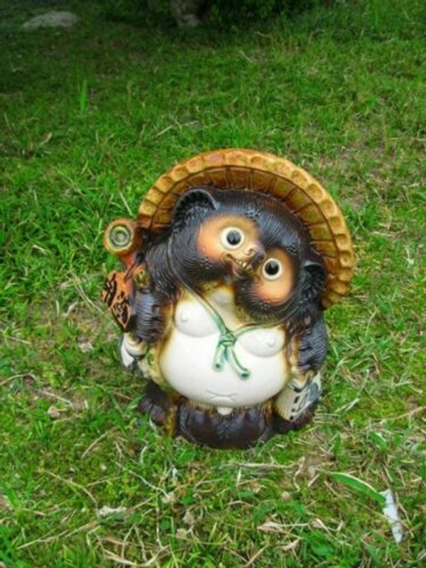Lucky fortune Tanuki Japanese Raccoon Dog Shigaraki yaki pottery doll JapanH31cm