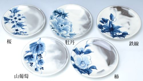 Kyoto Japanese serving plate set of 5 Kyo Kiyomizu yaki Sometsuke Freely flowers