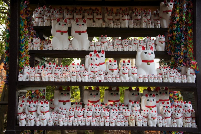 The Meaning of Maneki Neko: Colors, Raised Paws, and How to Choose the Right One
