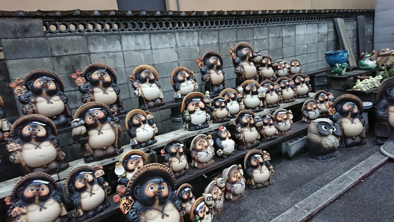 Shigaraki yaki Tanuki Chinise racoon dog