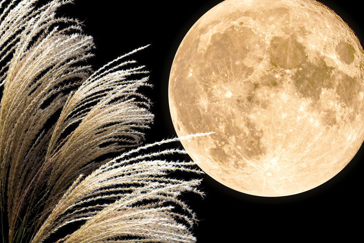 Moon Viewing – Appreciating the Beauty of the Harvest Moon