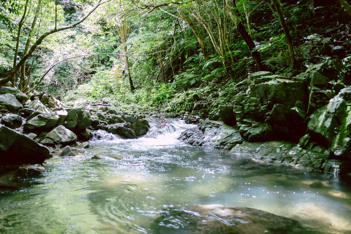 Rivers of Japan — The Pure Flow That Nurtures Culture and Life