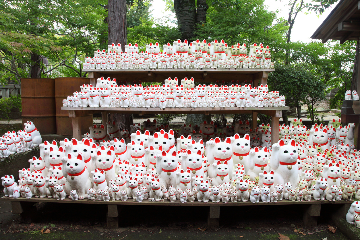 Hundreds of small white right-paw maneki neko offerings stacked on tiered wooden shelves at Gōtoku-ji temple in Setagaya, Tokyo