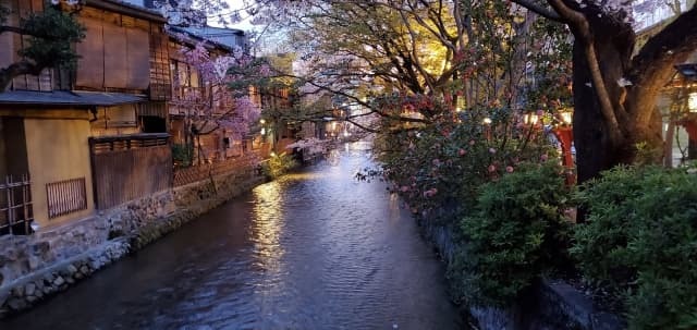 Gion district Kyoto canal at dusk with cherry blossoms and traditional townhouses