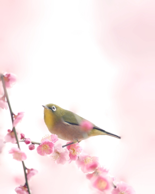 Are you ready for Valentine's Day for loved ones?