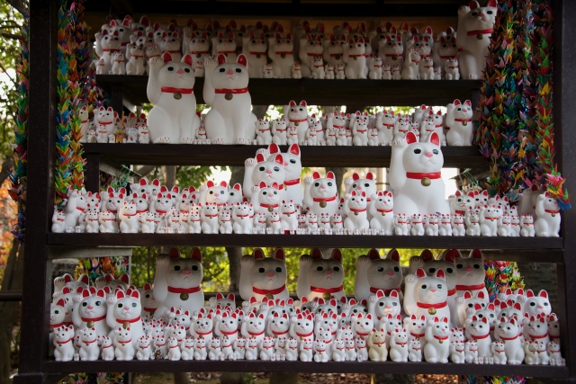 The Meaning of Maneki Neko: Colors, Raised Paws, and How to Choose the Right One
