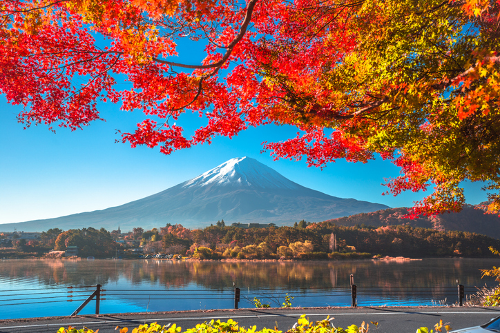 The Soul of Japan’s Autumn — The Art of Momiji and Seasonal Harmony
