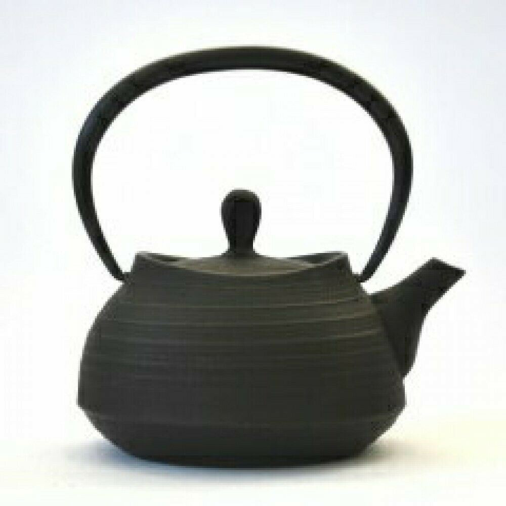 Nanbu enameled iron teapot with a black brush-mark finish