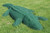 Rubber Crocodile in Green