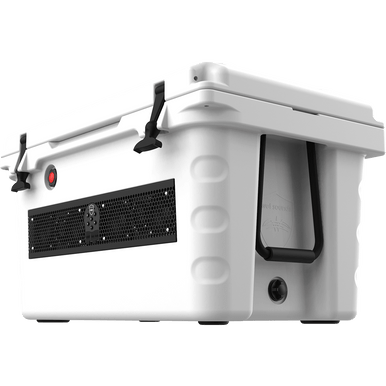 wet sounds ice chest radio