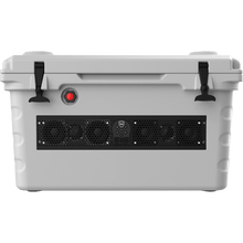 wet sounds ice chest radio