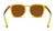 Sydney Amber Coast Sunglasses BE3704