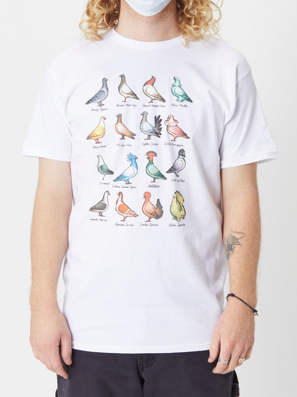 Anti Hero Show Pigeons T-Shirt