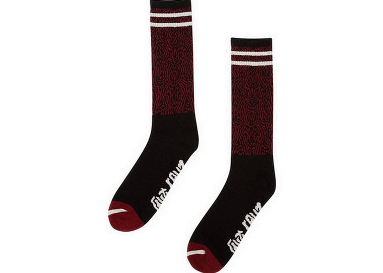 Santa Cruz Passage Socks