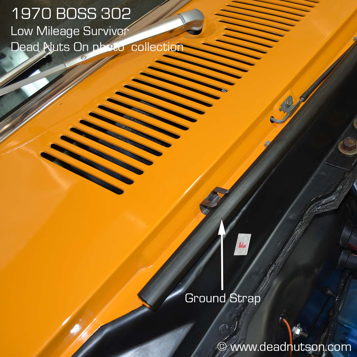 196970 Mustang Hood Ground Strap Dead Nuts On