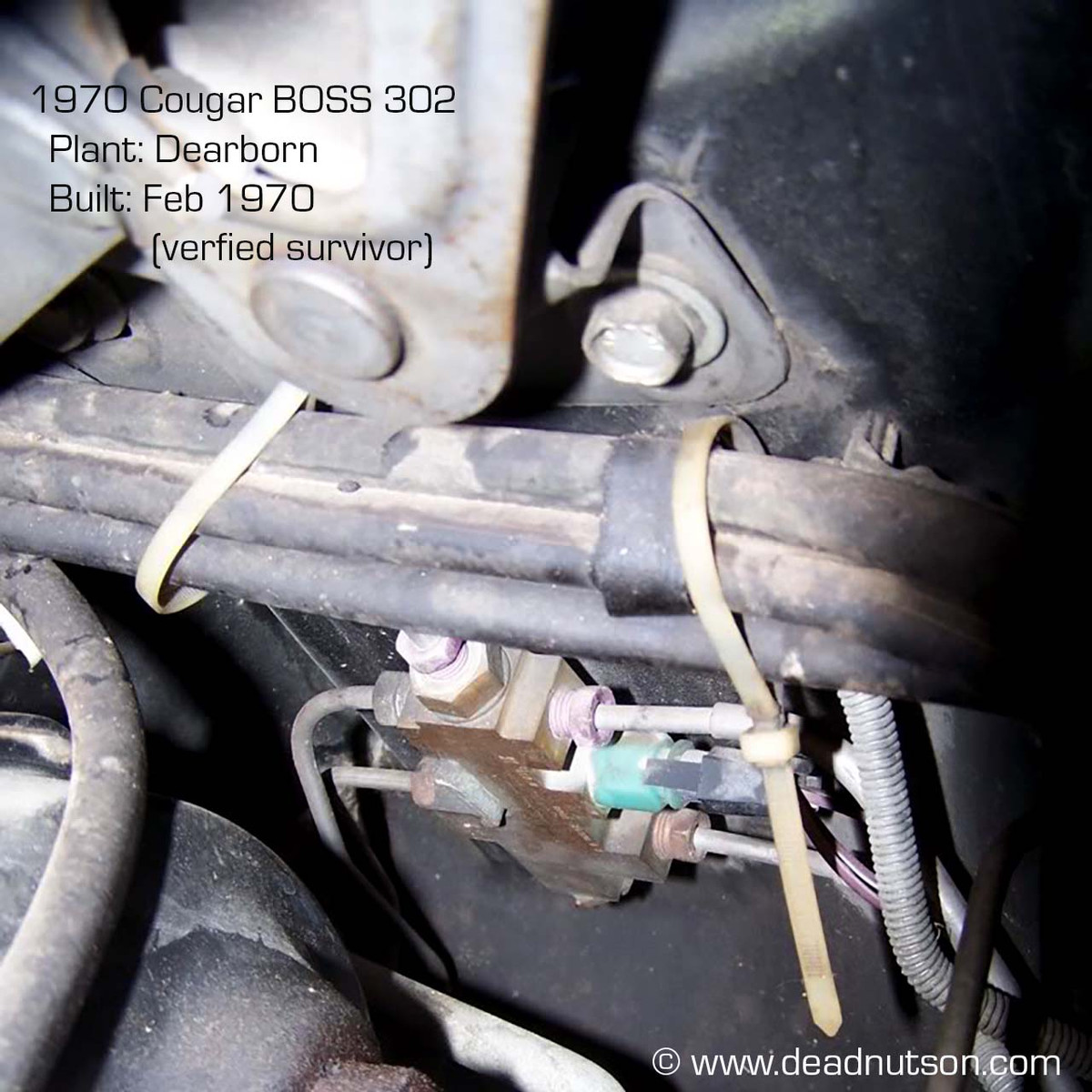 ラオス 干支プルーフ  2005年 Ford Wiring Panduit Zip Ties (3) - Dead Nuts On