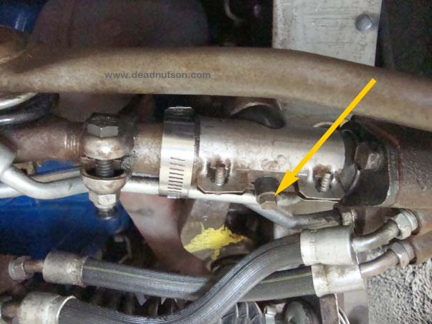 Grease Fitting Plugs 10 pack Dead Nuts On