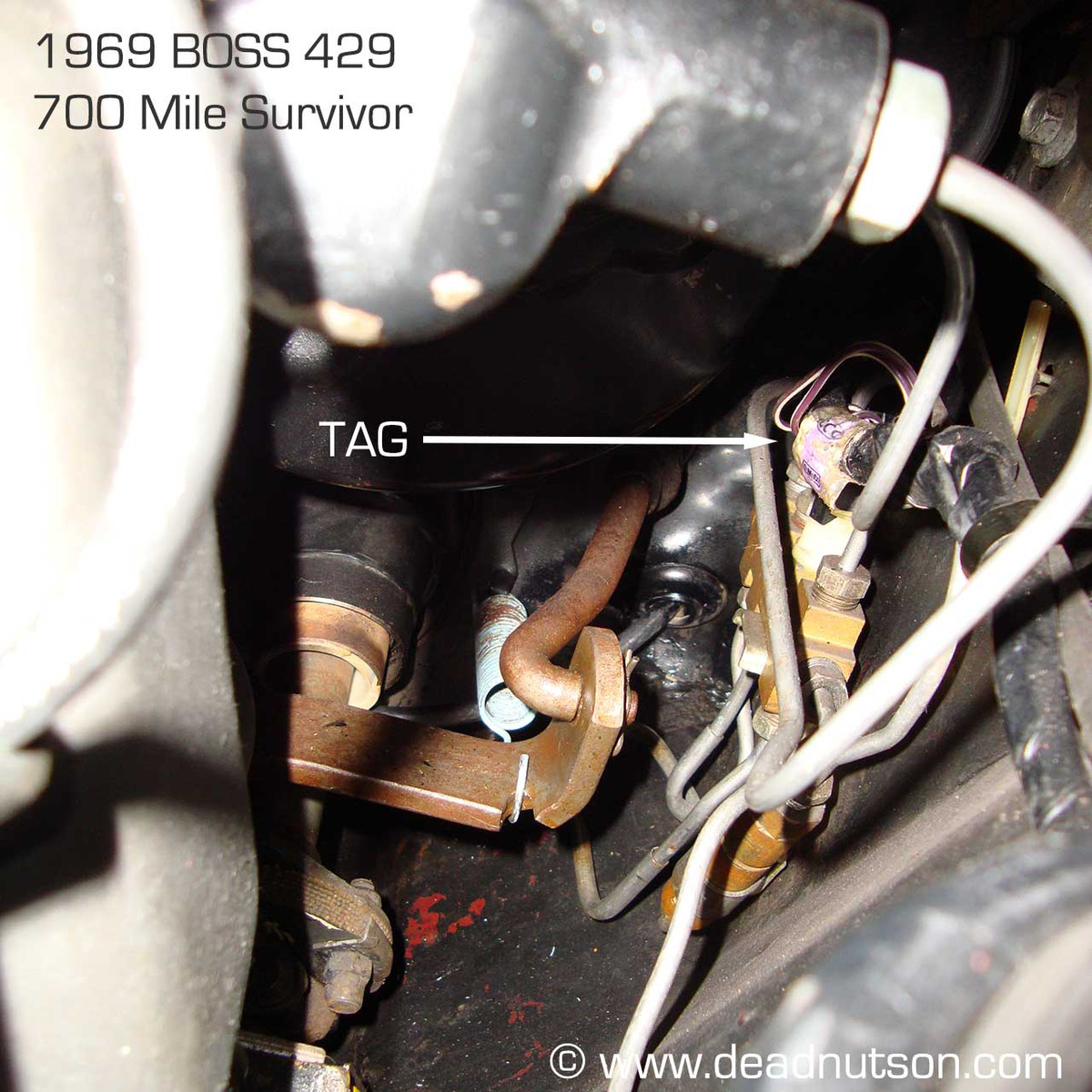 Electrical, Engine Compartment, Ignition