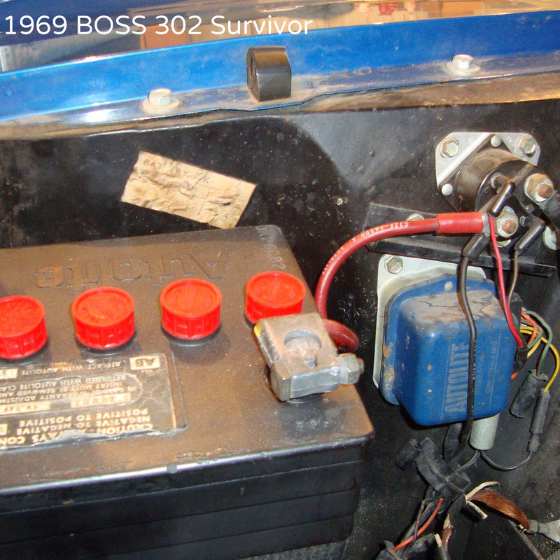 Battery Inspection Decal (Stamped) Dead Nuts On