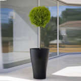 Curvada Planter Collection Mondo Contract