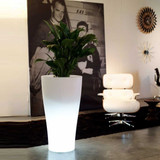 Curvada Planter Collection Mondo Contract