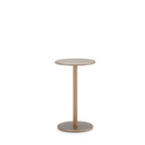 Common Side Table H65