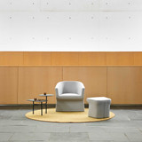 Fedele Armchair Mondo Contract
