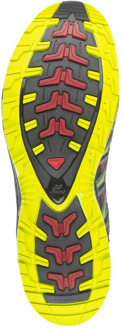 Flea/Dark Cloud|Puce/Nuage sombre