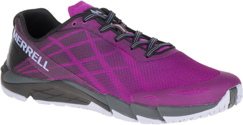 Purple Hollyhock|Purple Hollyhock|PRI