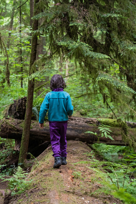 Blue Spruce/Regal Purple|ÉpinetteBleue/PourprRégal