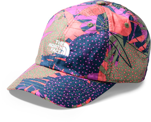 Four Leaf Clover Agave Pr|Four Leaf Clover Agave Pr|PRI