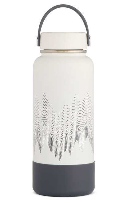 Snowcap|Colibri à coiffe blanche