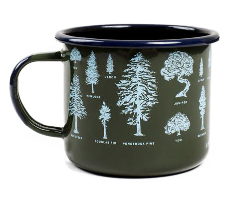 Evergreen|À feuilles persistantes