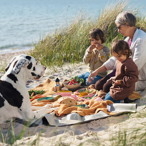 6001-042 Light My Fire Meal Kit