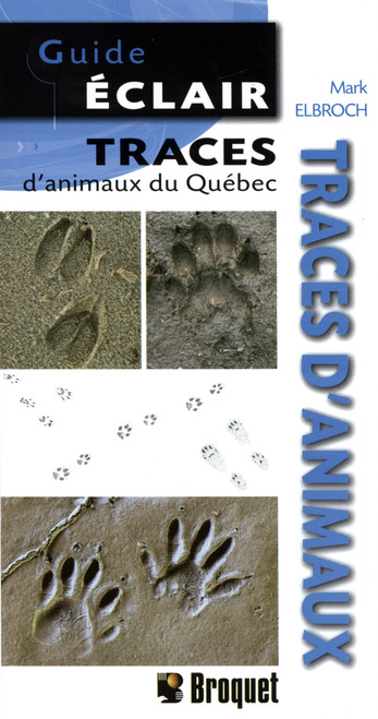 NO_COLOUR|NO_COLOUR|PRI